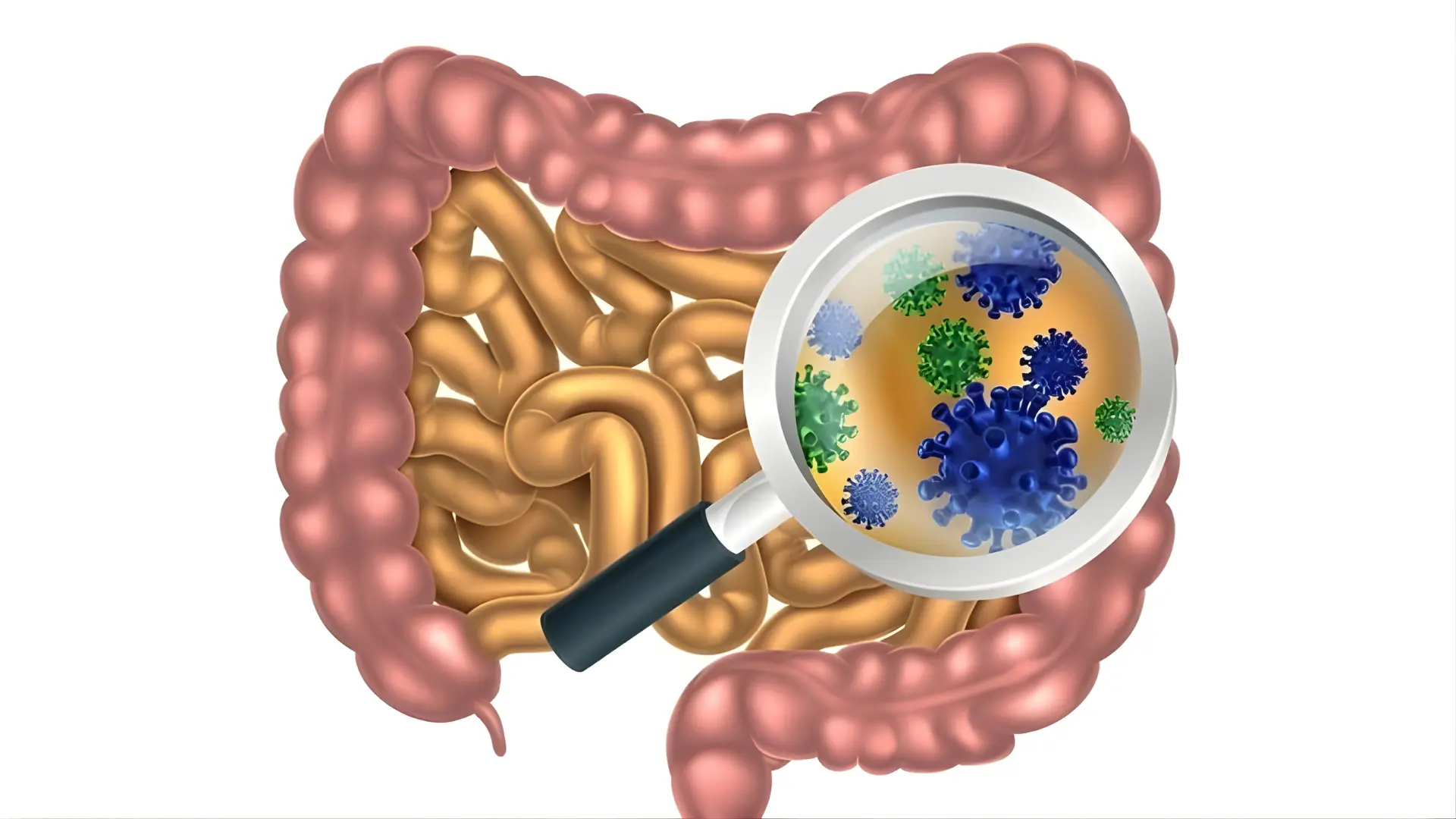 Cryptosporidium trong nước - Mối nguy hiểm “vô hình” từ nguồn nước ô nhiễm Cryptosporidium trong nước gây nên triệu chứng phổ biến
