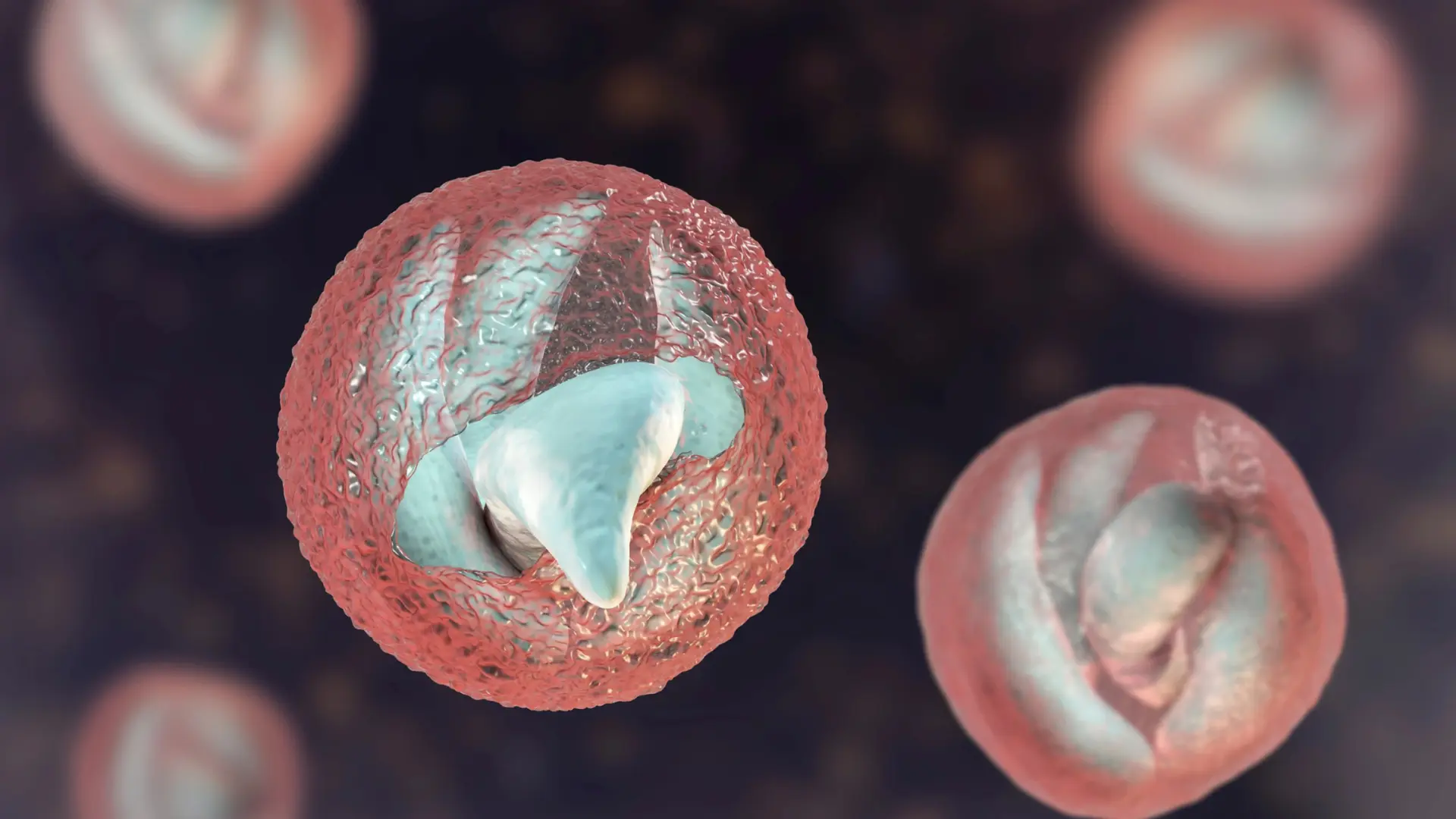 Cryptosporidium trong nước – Mối nguy hiểm “vô hình” từ nguồn nước ô nhiễm