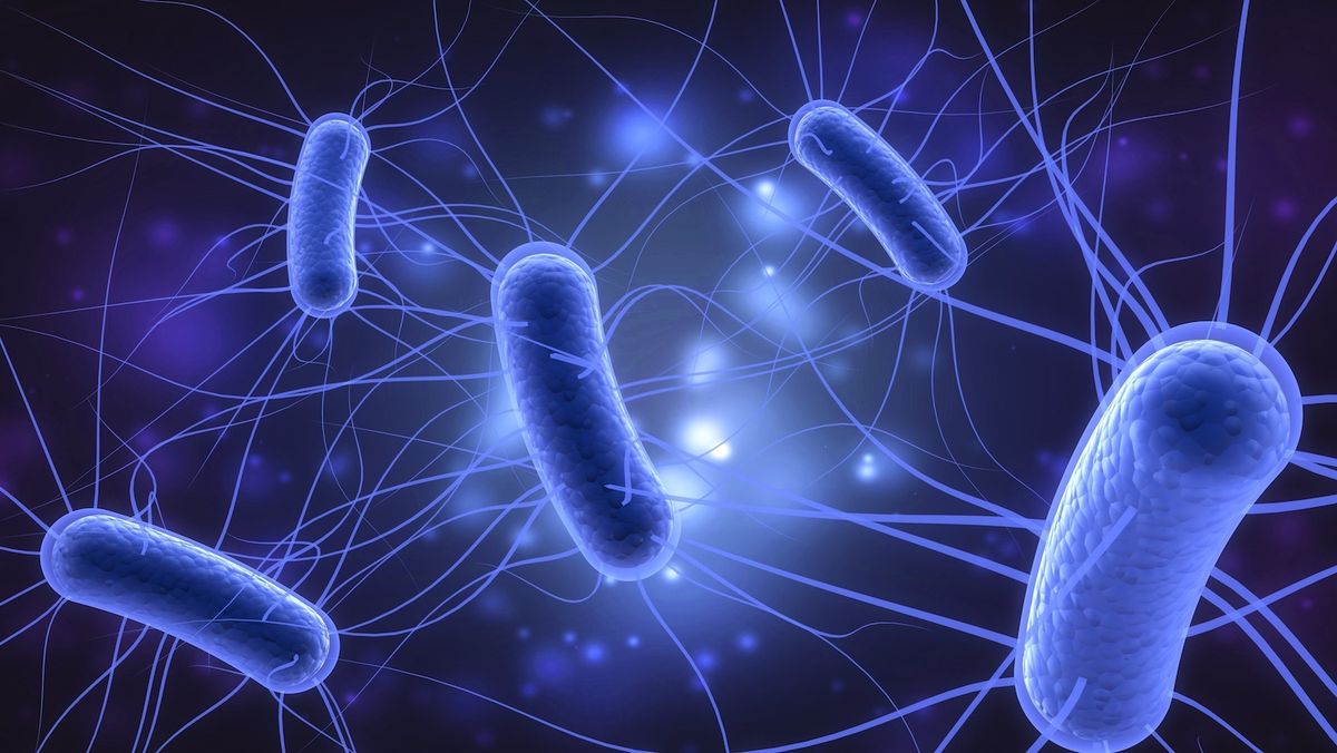 E. Coli trong nước – Cảnh báo ô nhiễm vi sinh nguy hiểm tại Việt Nam