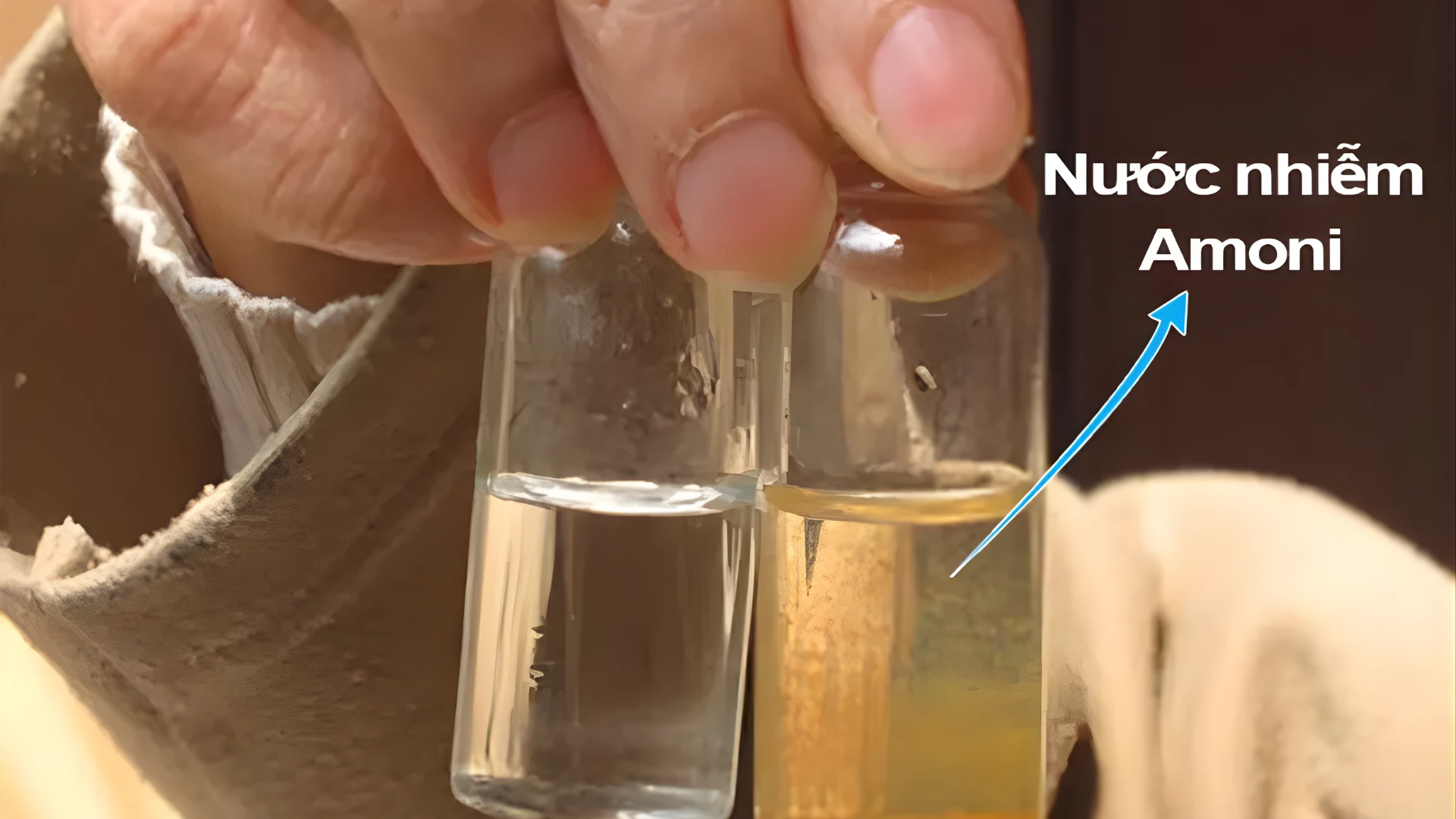 Amoniac trong nước - Một vấn đề không thể xem nhẹ 8 Amoniac hình thành tự nhiên thông qua quá trình phân hủy sinh học từ xác động thực vật, chất thải hữu cơ, phân, nước tiểu và các hợp chất chứa nitơ khác