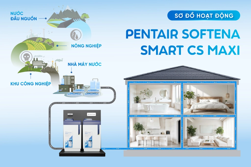 Sơ đồ hoạt động của hệ thống lọc tổng Pentair Softena Smart CS Maxi