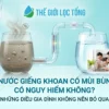 nuoc gieng khoan co mui bun nguy hiem khong Nước giếng có mùi bùn có nguy hiểm không? Những điều gia đình không nên chủ quan Thế Giới Lọc Tổng