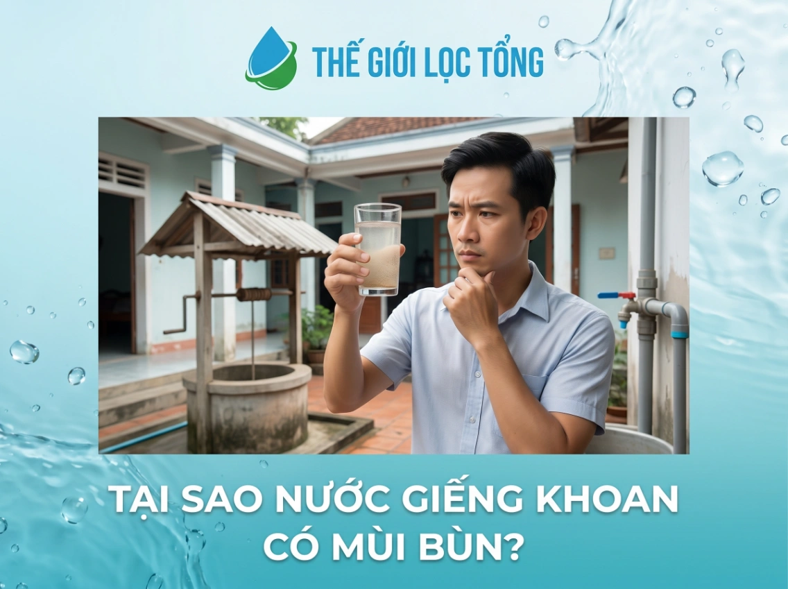 Nước giếng có mùi bùn có nguy hiểm không? Những điều gia đình không nên chủ quan 49 Vì sao nước giếng có mùi bùn?