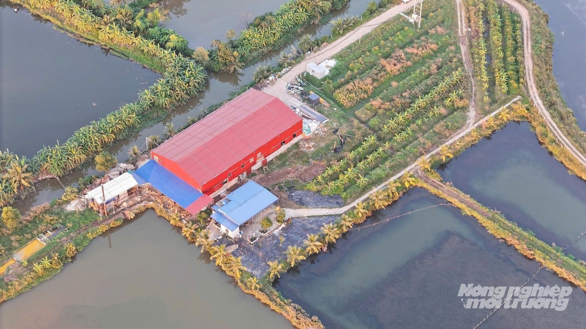 tglthn hai phong nha may giay xay chui tren dat nuoi trong thuy san 121225 613 121646 1 Hải Phòng: Nhà máy giấy xây 'chui' trên đất nuôi trồng thủy sản - Báo Nông nghiệp và Môi trường Thế Giới Lọc Tổng