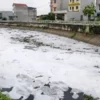 tglthn o nhiem 1 Nước đen, bọt trắng phủ kín kênh, 4 tháng chưa tìm ra nguồn xả thải - Znews Thế Giới Lọc Tổng