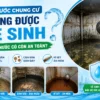 Bồn nước không được vệ sinh thường xuyên